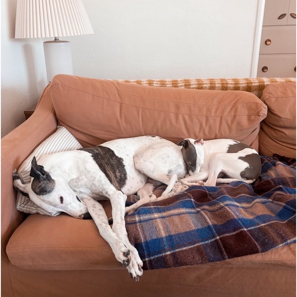 Meet your Posher, Jen - Picture 1 of 1